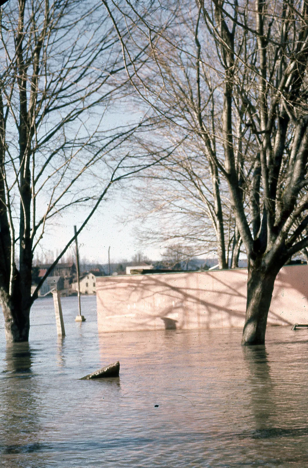 Daños del Terremoto y Maremoto de Valdivia, 1960