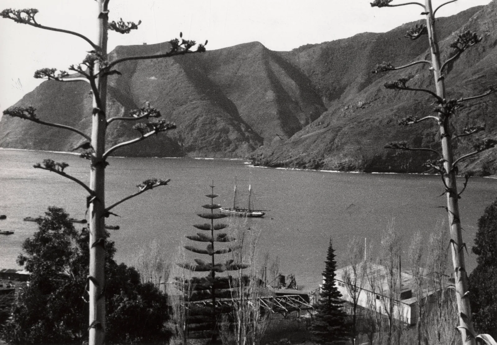 Isla Robinson Crusoe, 1938