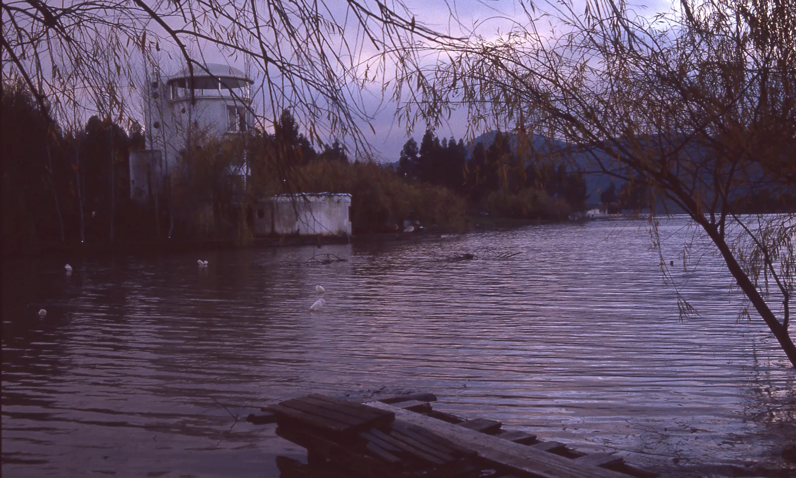 Casa desde Camping Los Sauces, Rapel, 1983