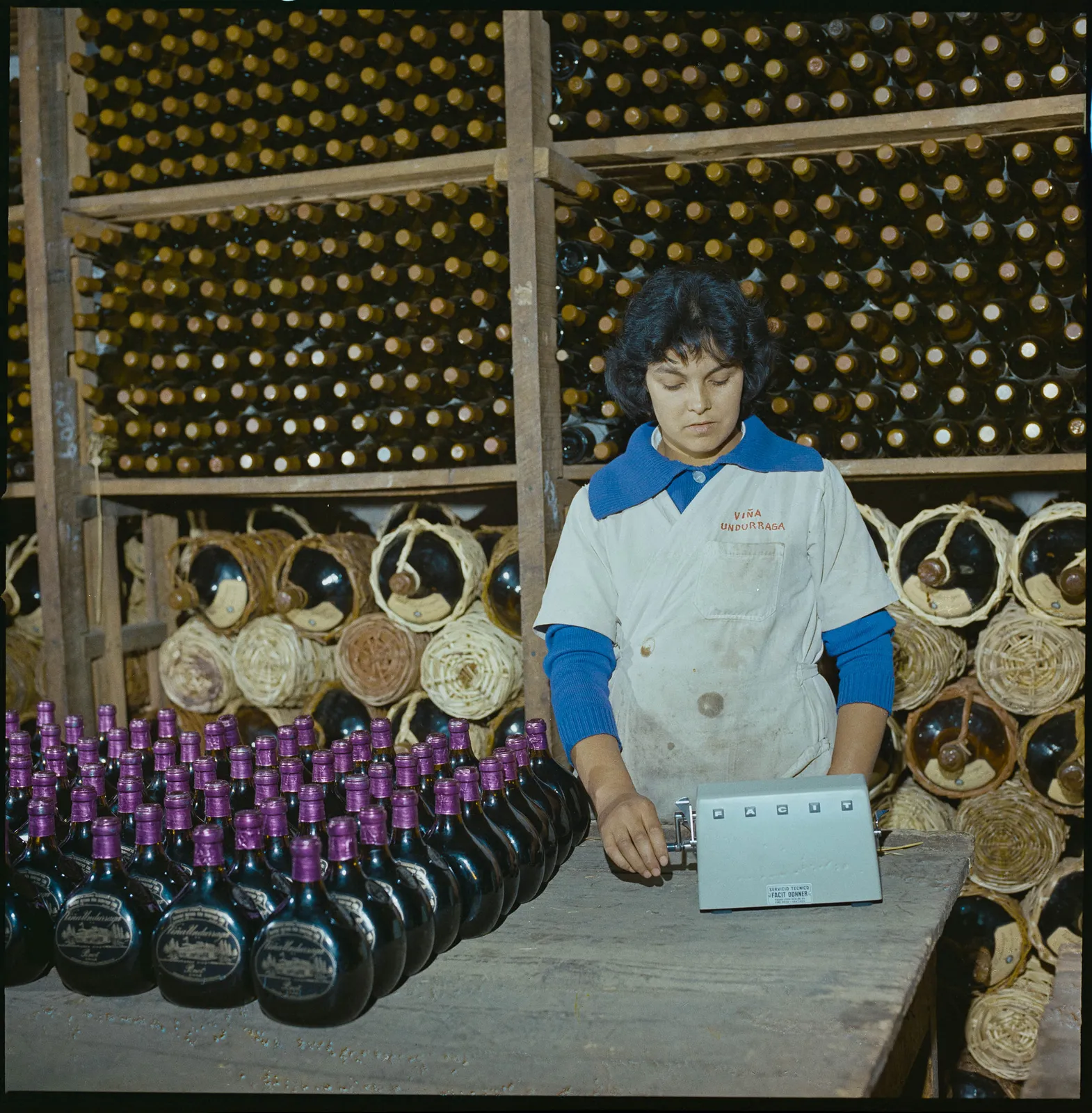 Viña Undurraga y calculadoras Facit, 1964