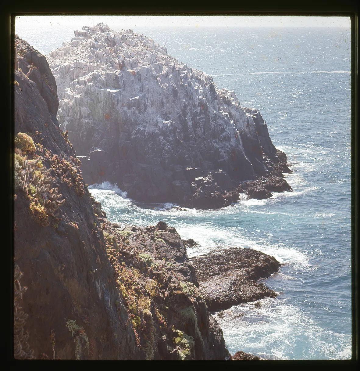 Roquerío de aves y Puquén, Los Molles, Petorca, Región de Valparaíso, Chile, 1950 - 1965