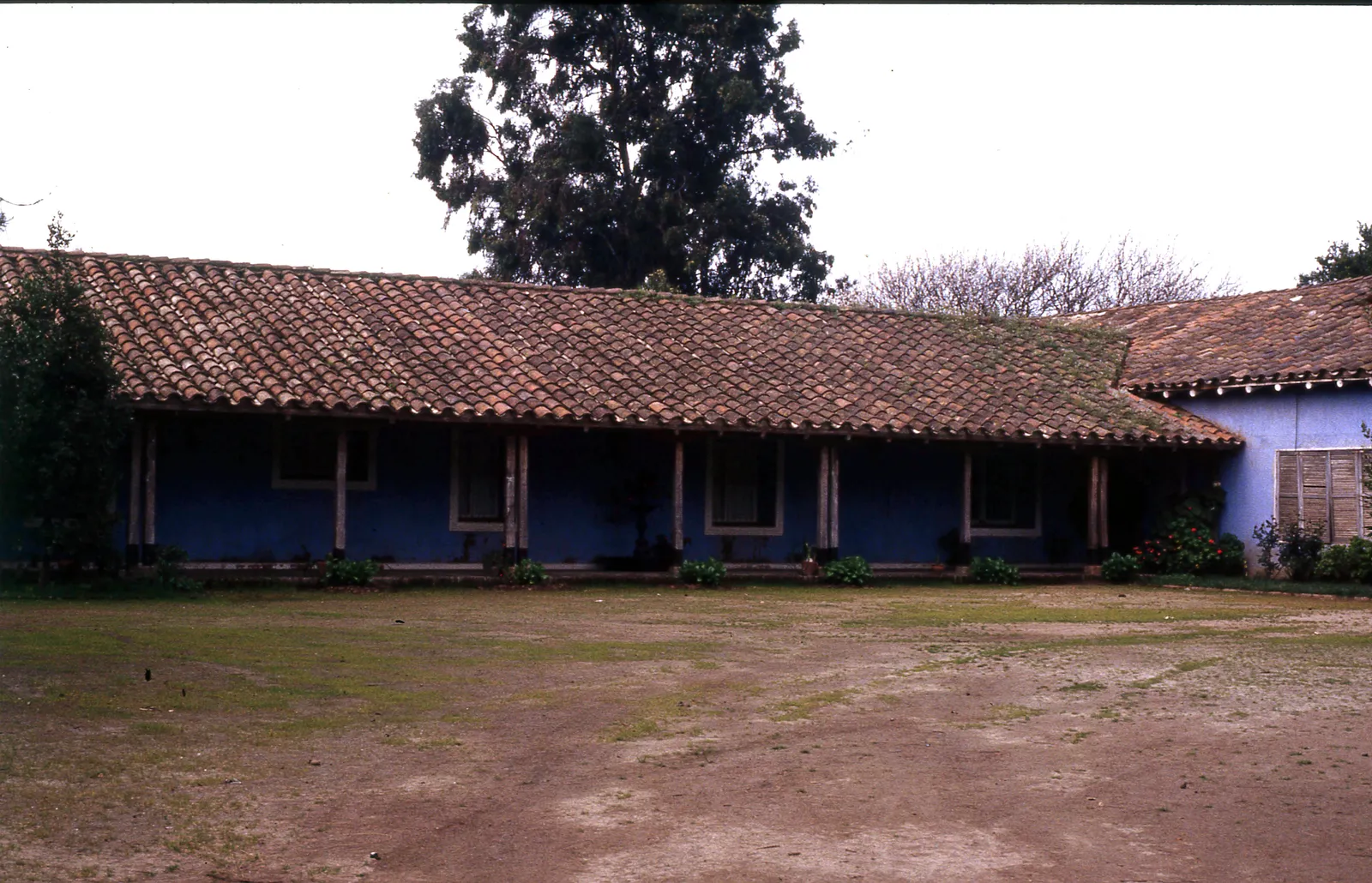 Fundo San Diego de Puangue, Melipilla, 1983