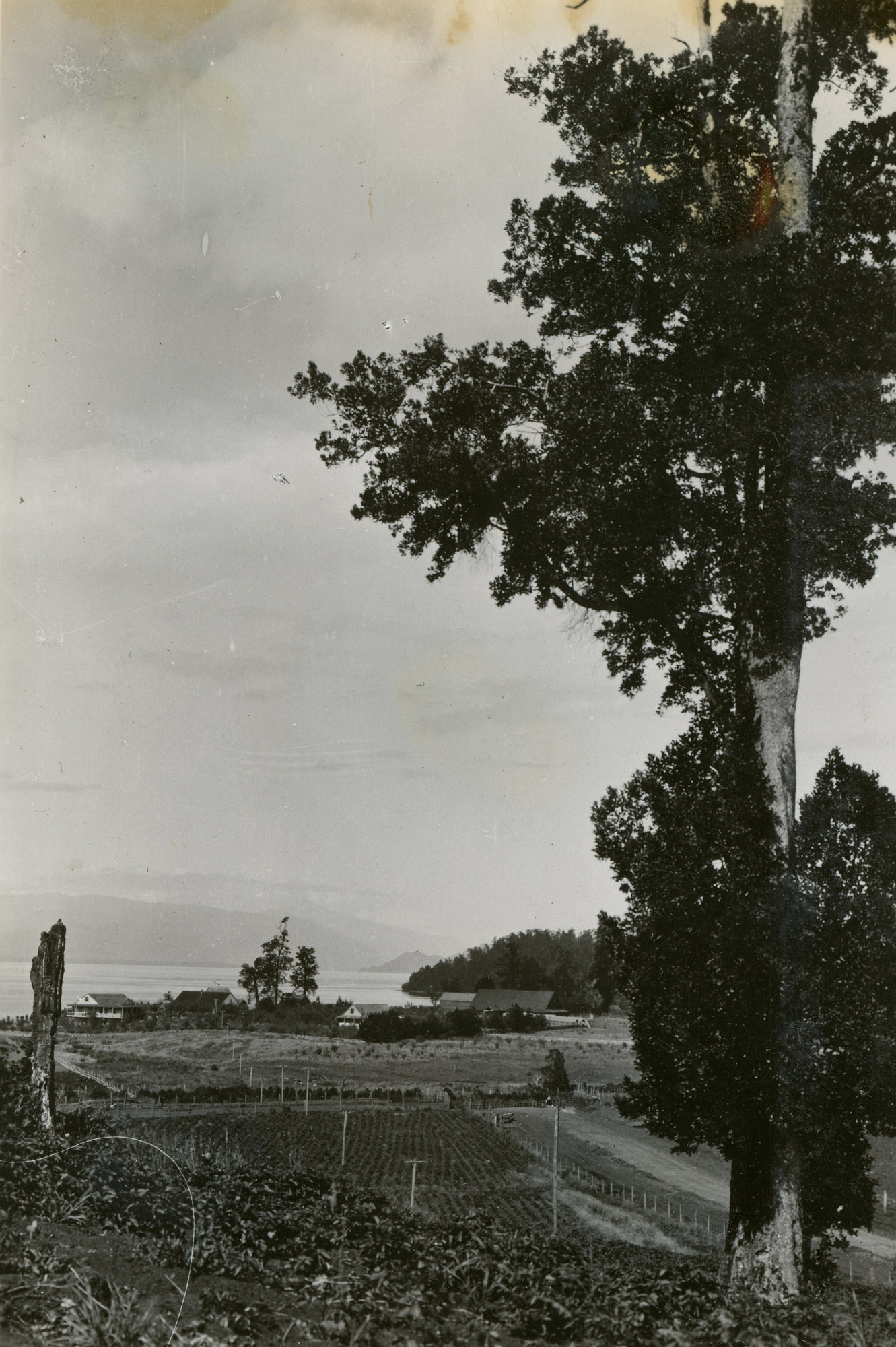 Vista al Lago Puyehue, ca. 1928