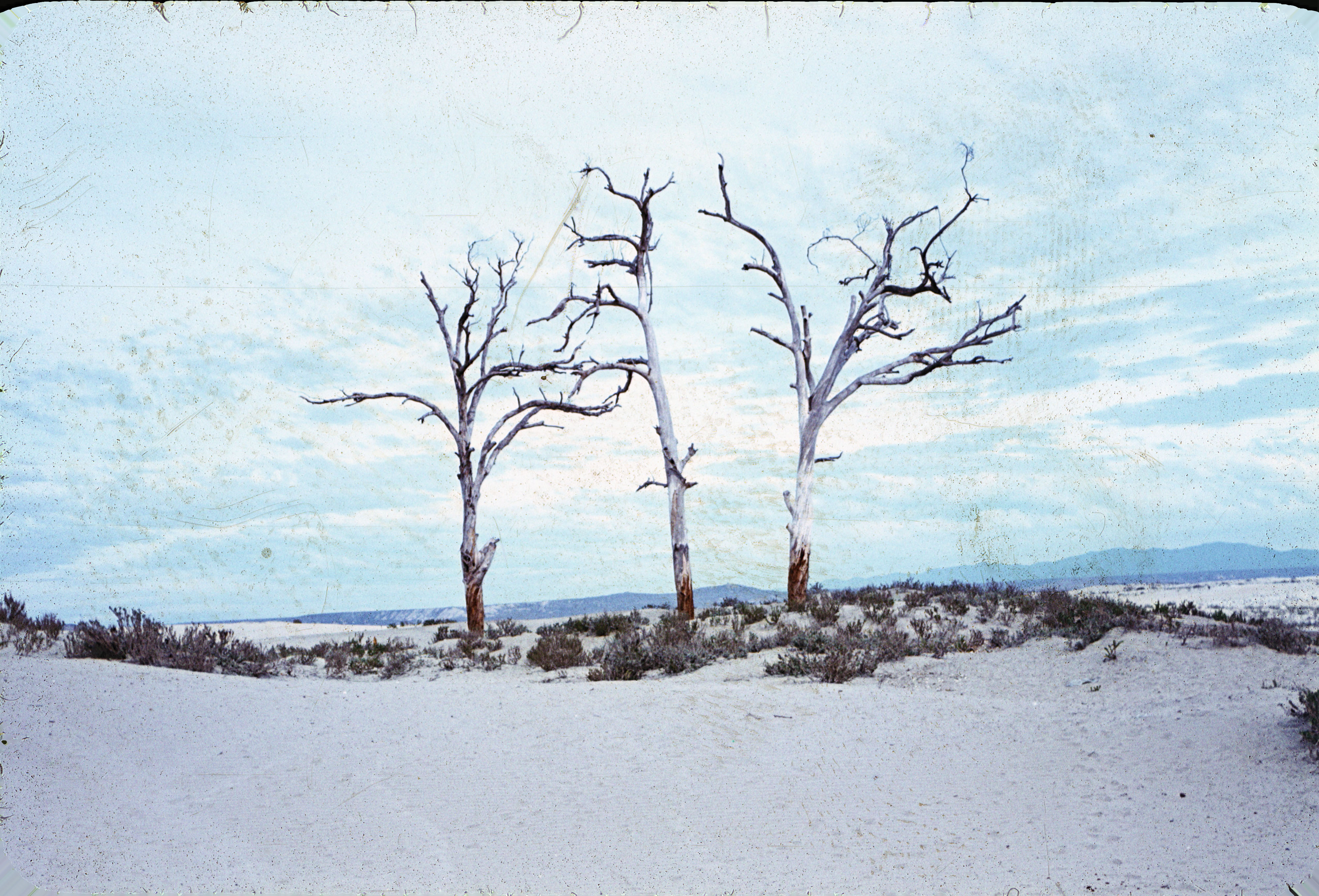 Playa de Tongoy, 1964