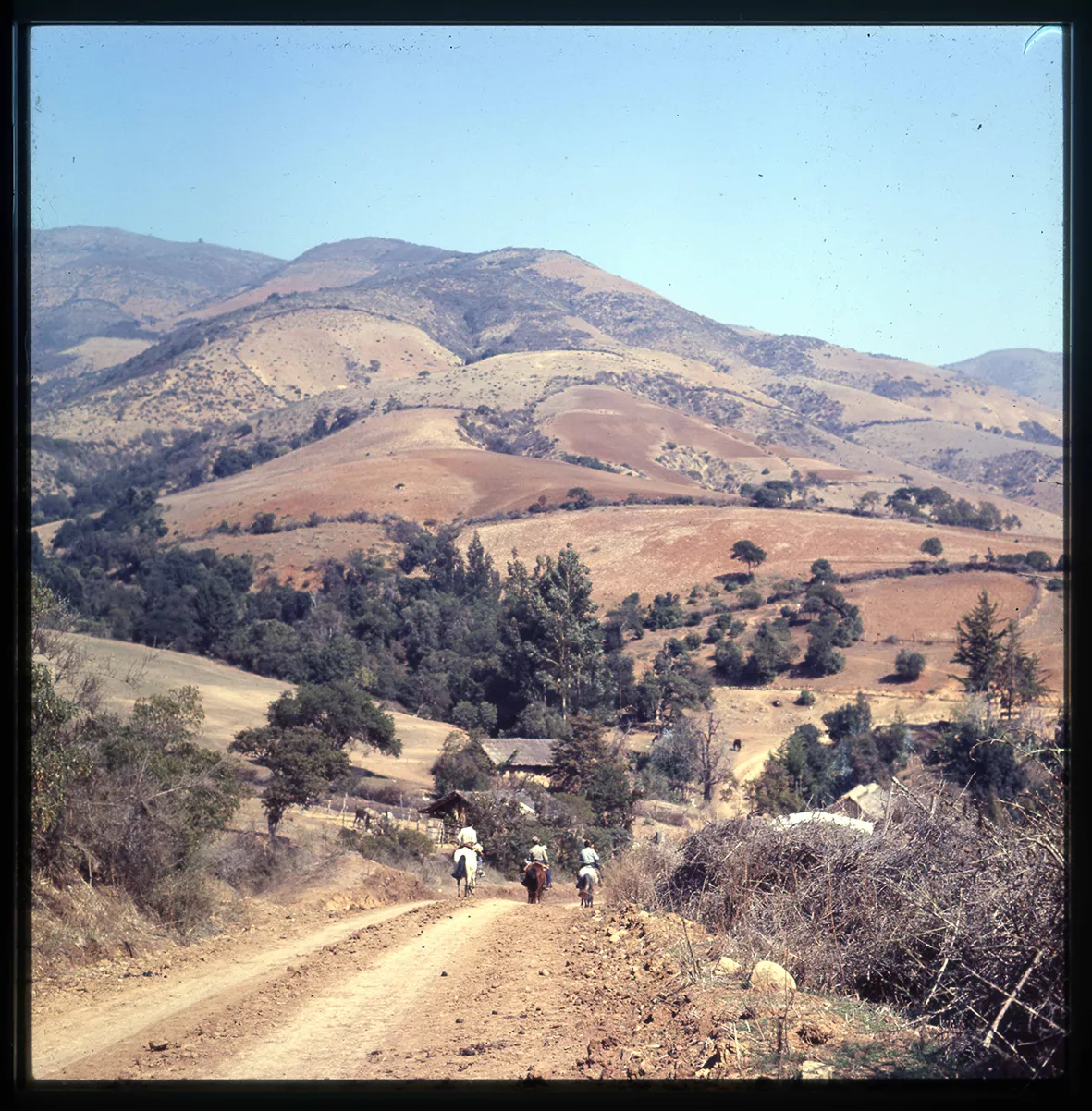 Camino por entre los montes, Canela, Región de Coquimbo, Chile, 1950 - 1965