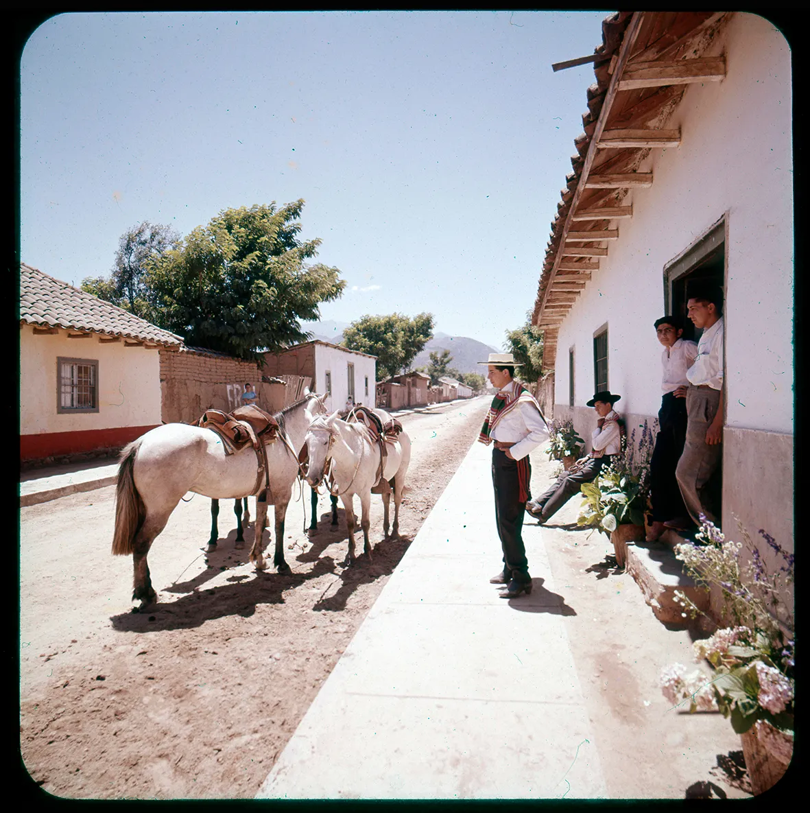 Jóvenes y caballos en una calle larga, Alhue, Región Metropolitana, Chile, 1950 - 1965