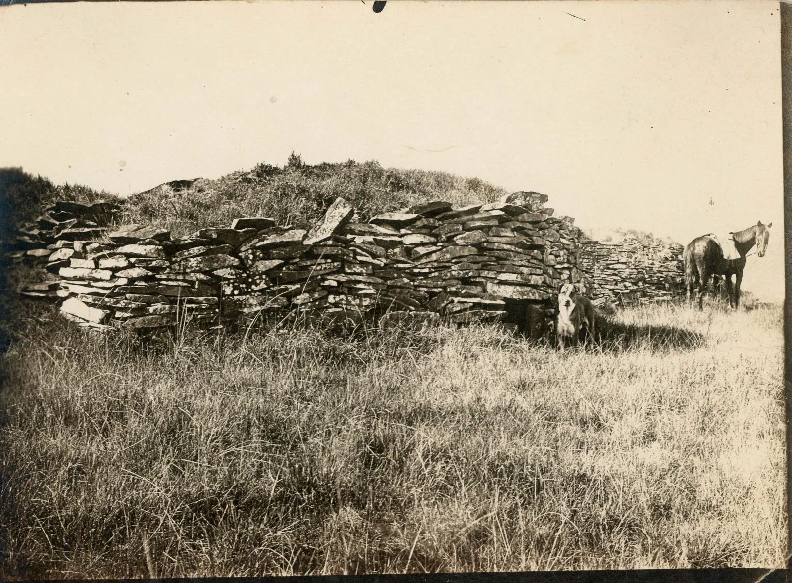 Pirca en Rapa Nui, 1917