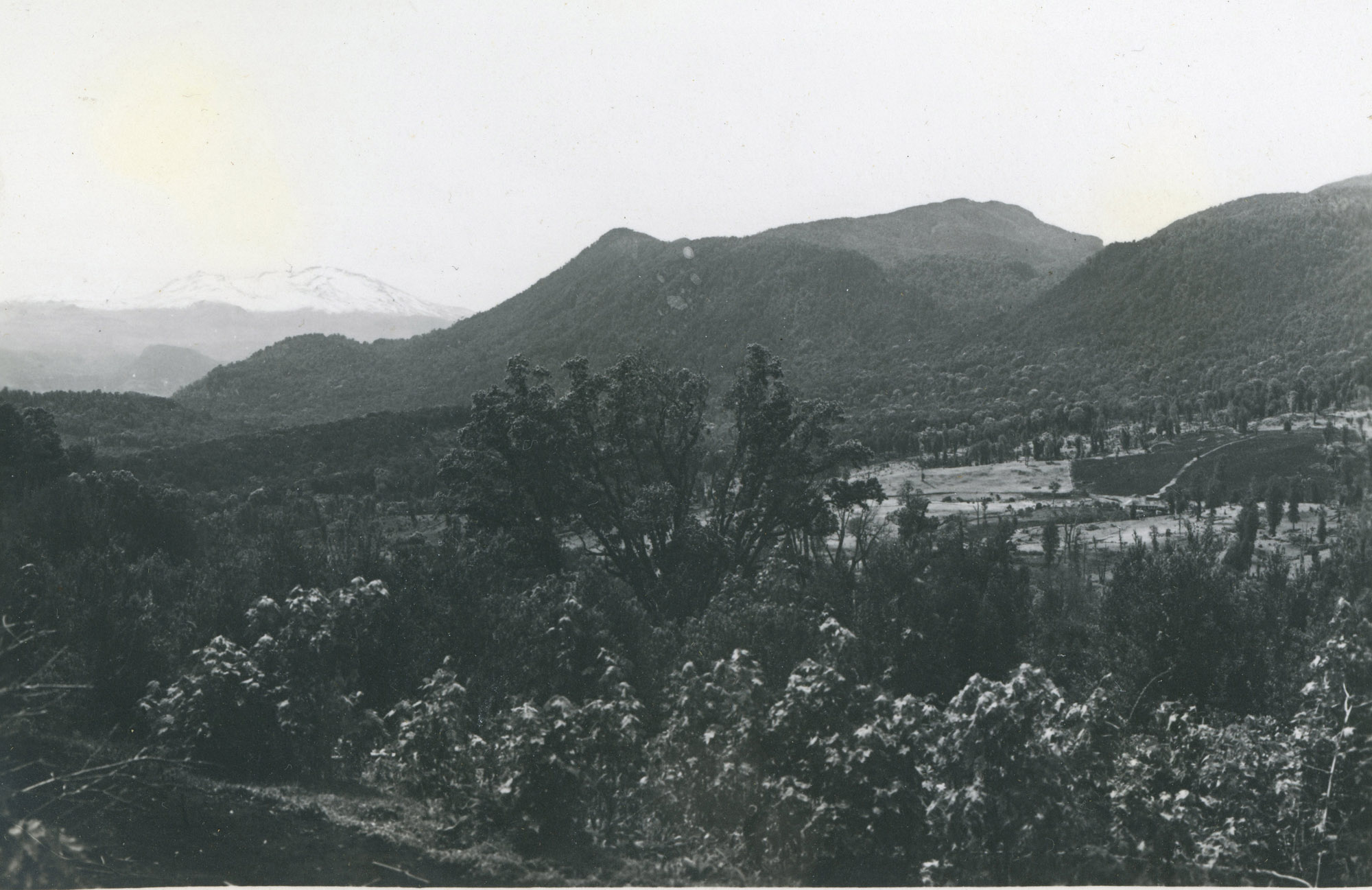 Paisaje de la Cordillera de Puyehue, ca. 1928