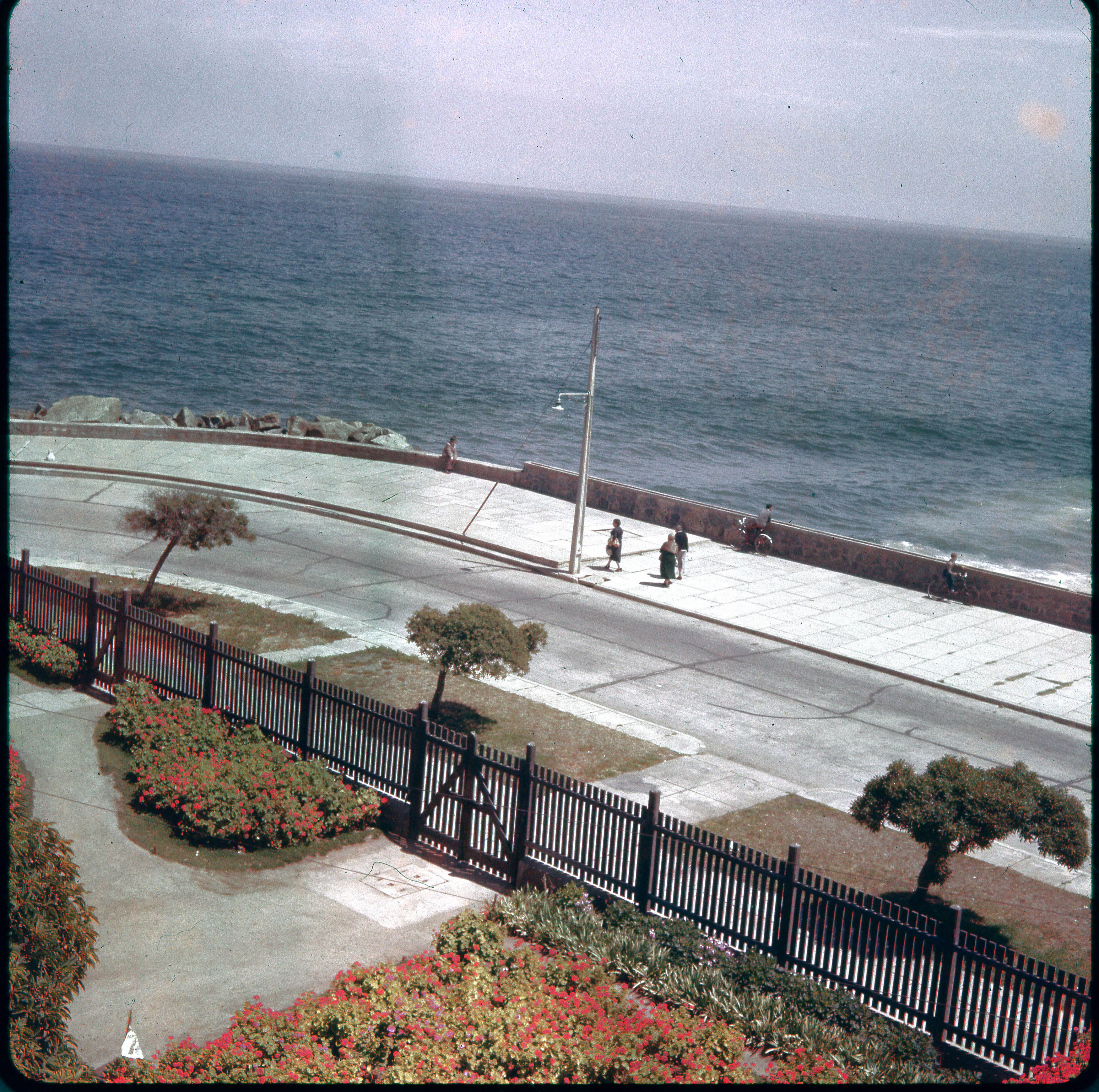 Avenida Perú de Viña del Mar, 1960