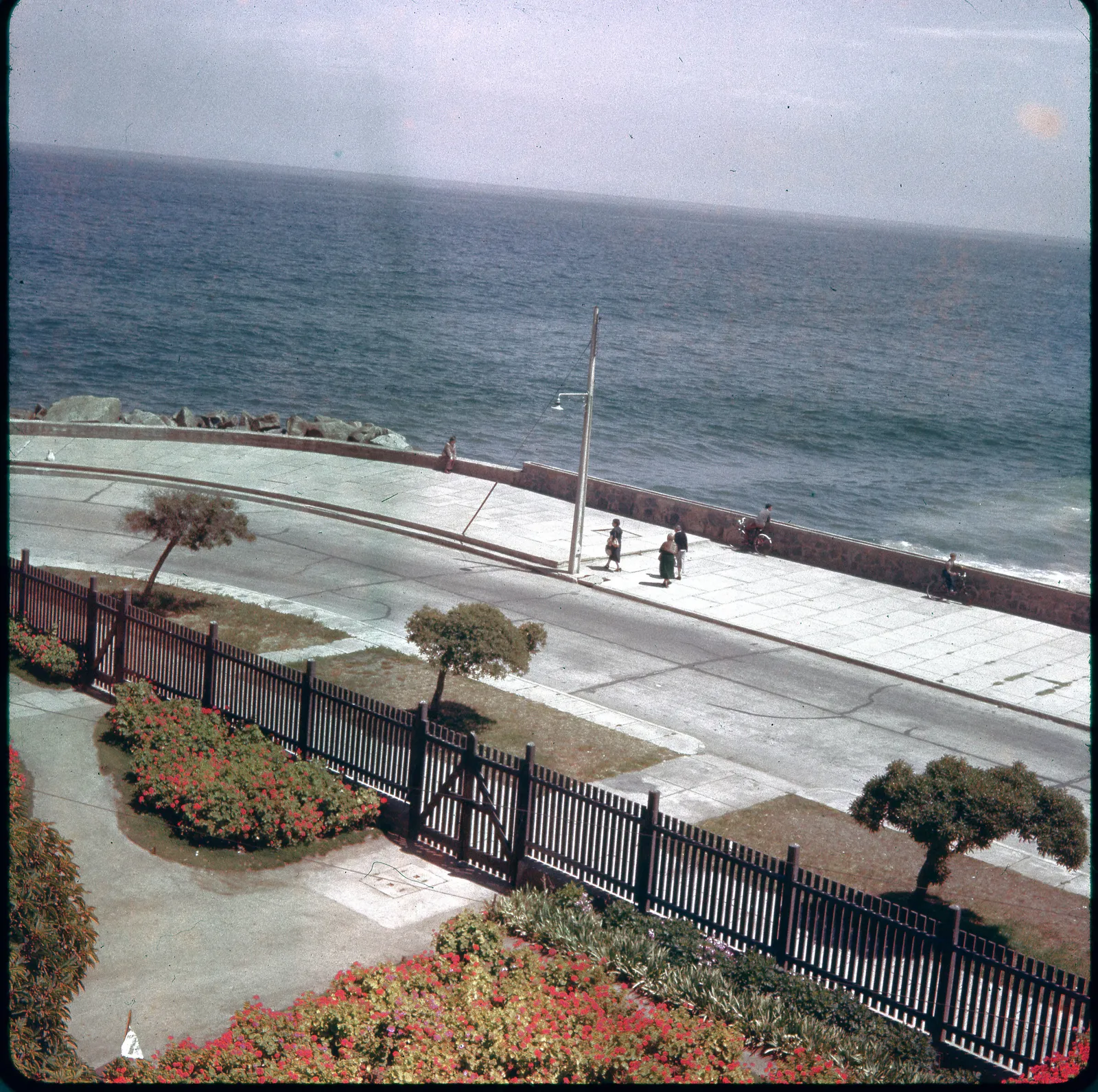 Avenida Perú de Viña del Mar, 1960