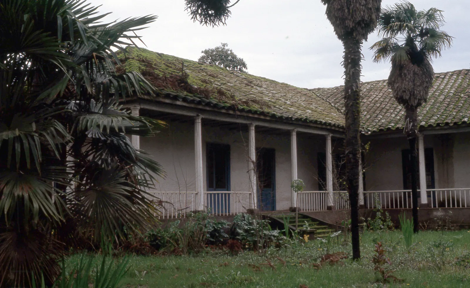 Fundo Los Huertos de San Vicente de Naltagua, 1983