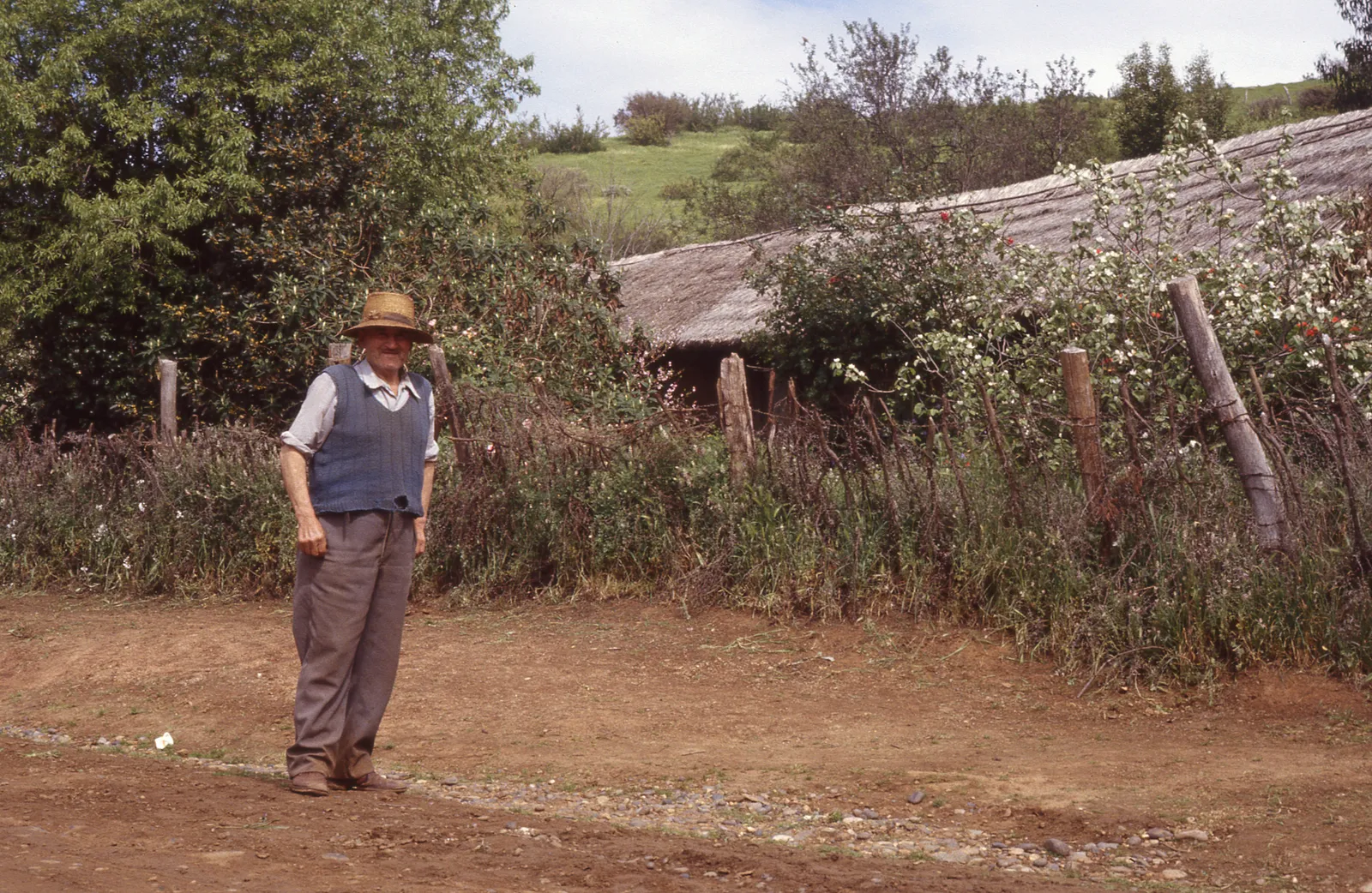 Rancho típico de Cuncumén, 1983