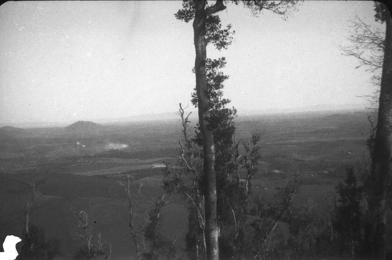 Paisaje en la Araucanía, 1928