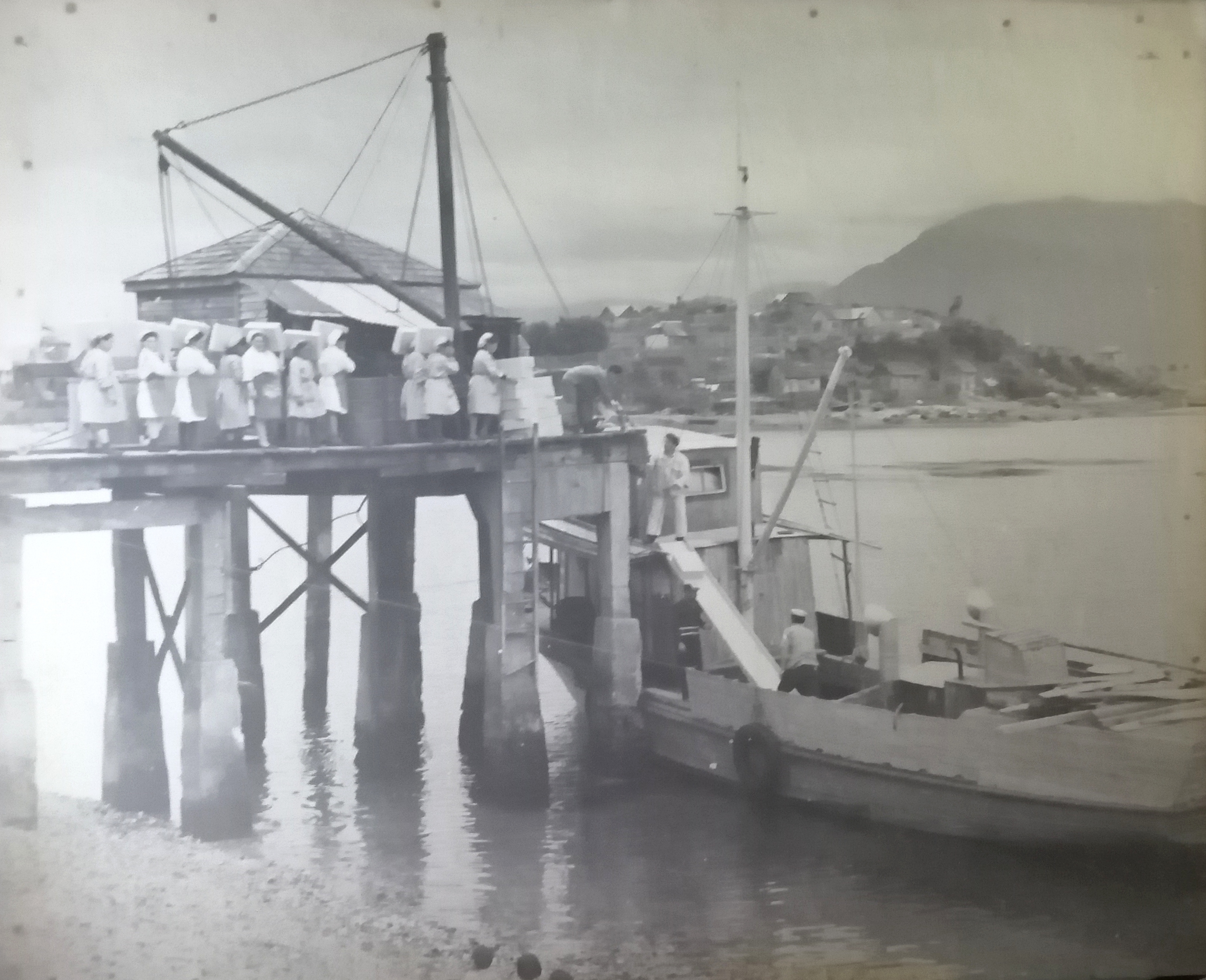 Sector muelle Caleta Andrade, ca. 1980