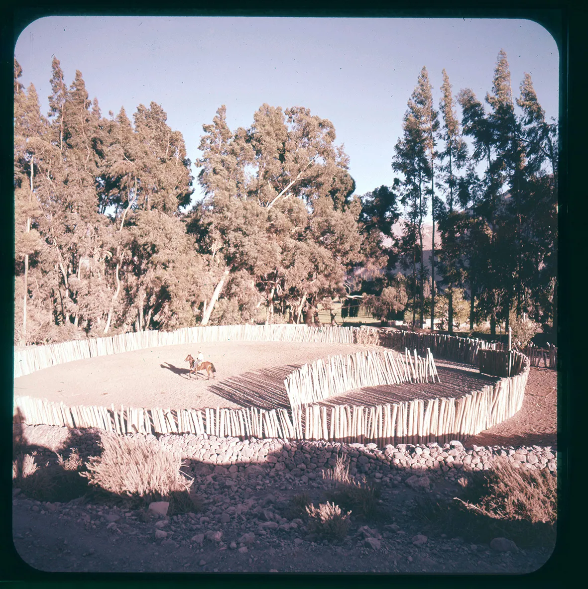Media luna, Coquimbo, Pisco Elqui, Región de Coquimbo, Chile, 1950 - 1965