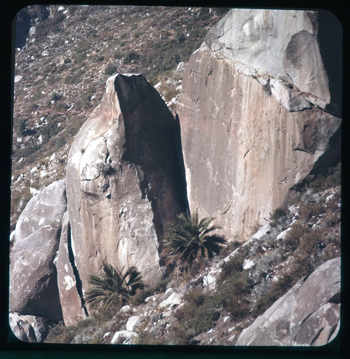 Quebrada Alvarado, Región de Valparaíso, Chile, 1950 - 1965