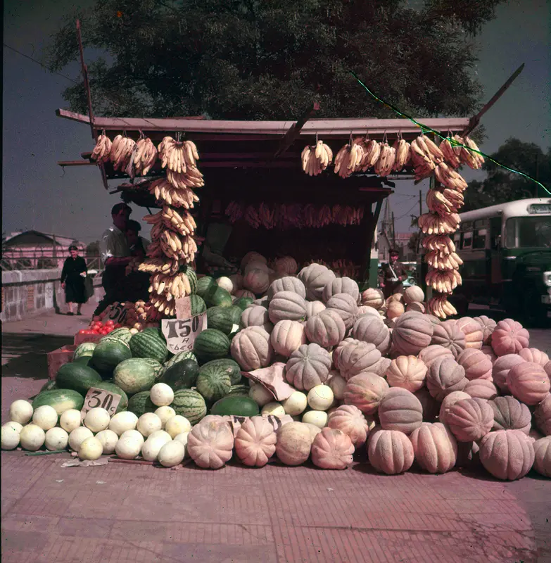 Kiosko de frutas y verduras, Recoleta, Región Metropolitana, Chile, 1950 - 1965