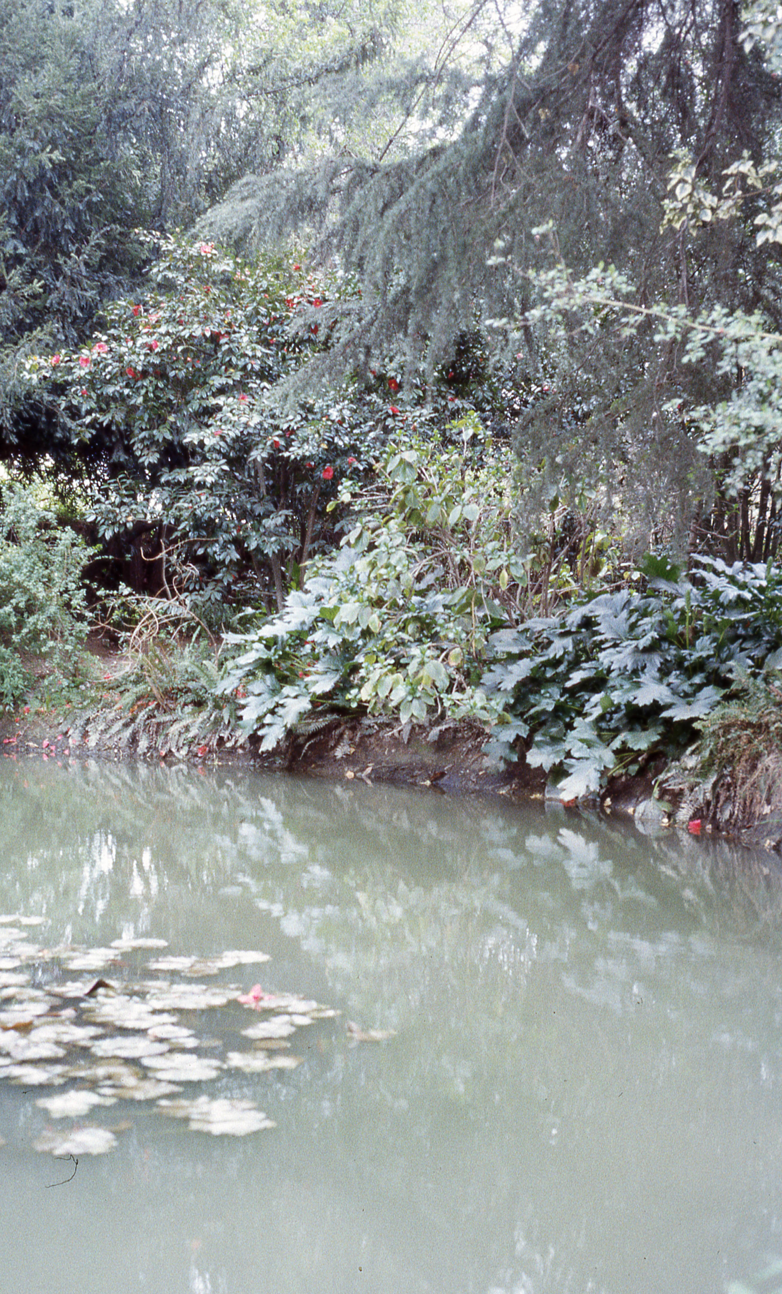 Parque Hacienda Graneros, 1983
