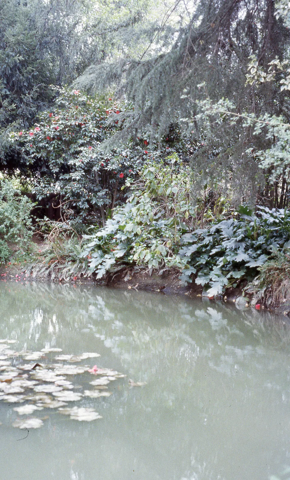 Parque Hacienda Graneros, 1983