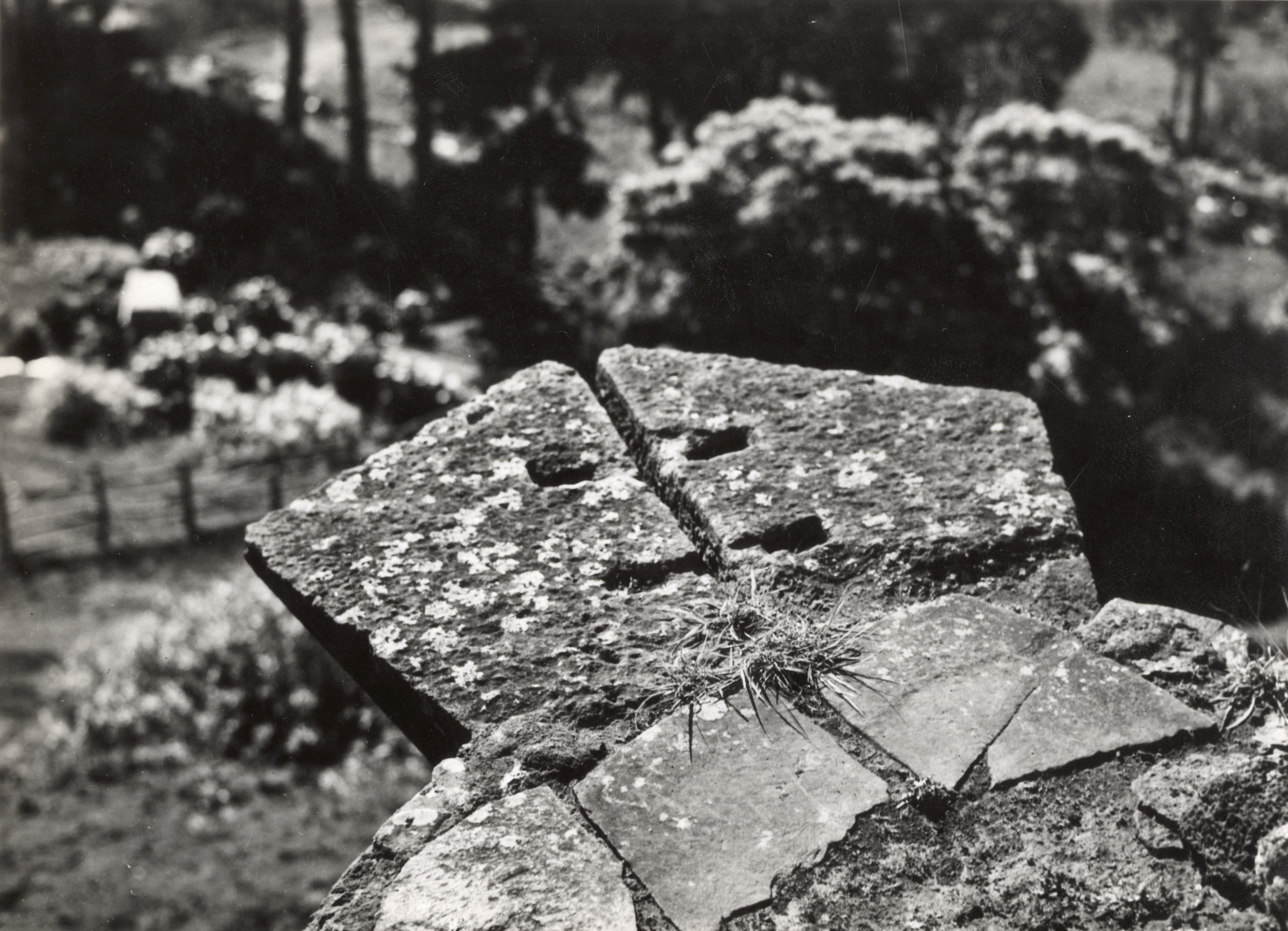 Antigua estatua de piedra, Isla Robinson Crusoe, 1938