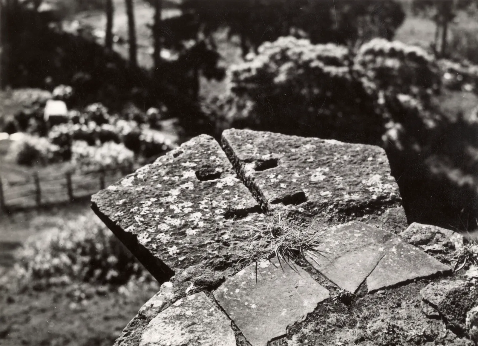 Antigua estatua de piedra, Isla Robinson Crusoe, 1938