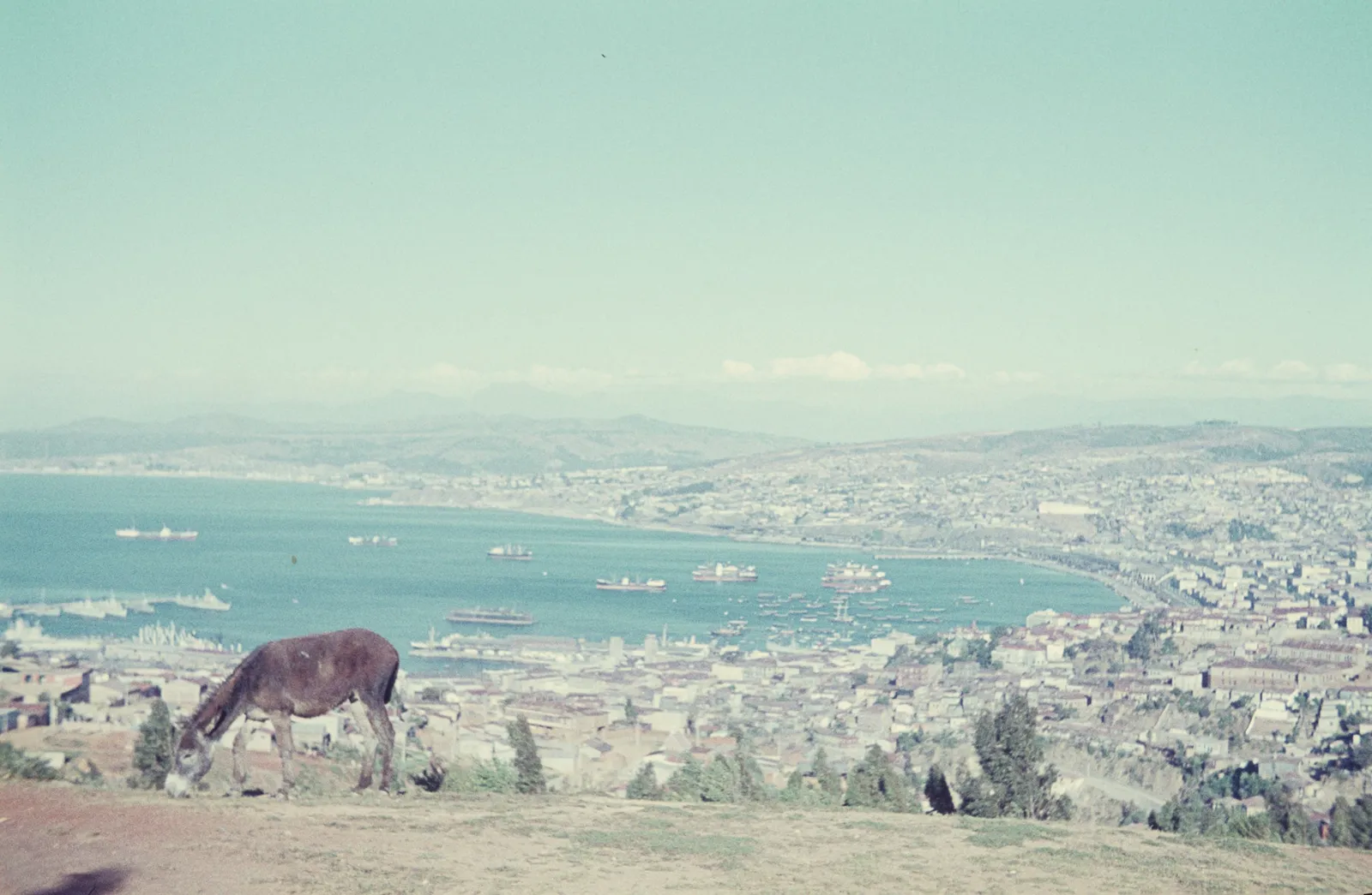 Bahía de Valparaíso, Noviembre de 1960