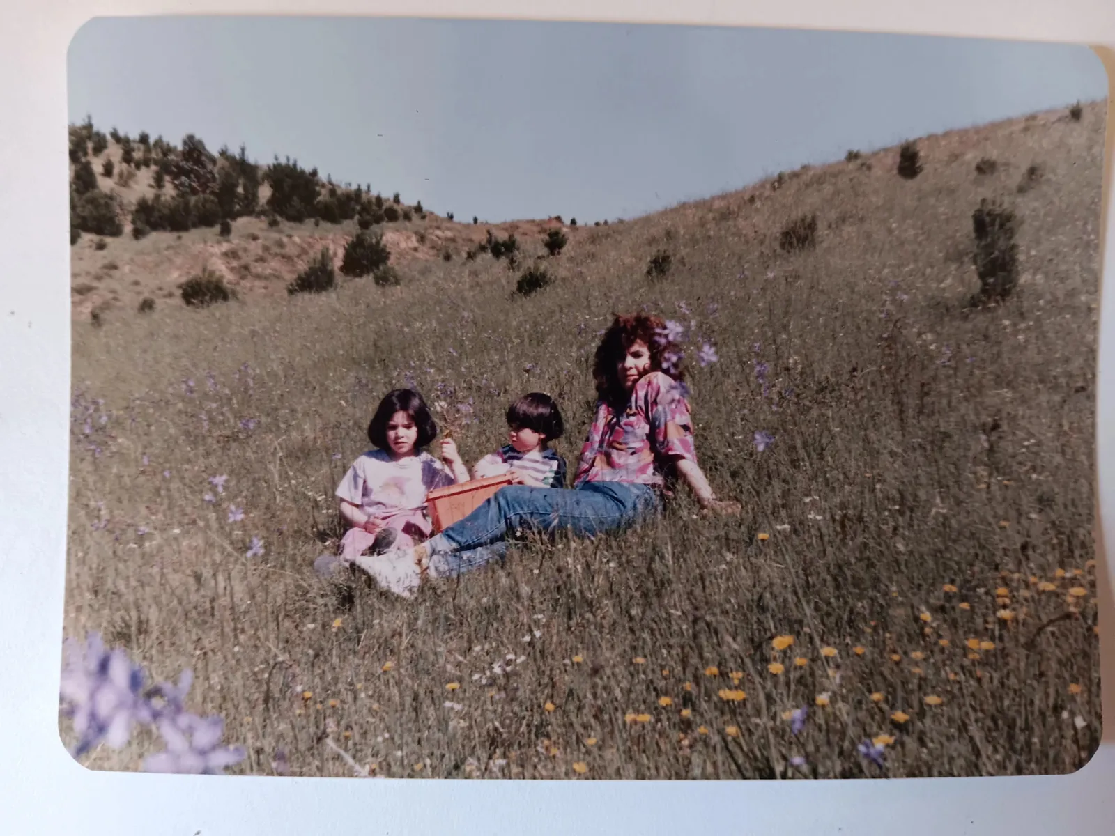 Familia en los campos de la Araucanía, 1987