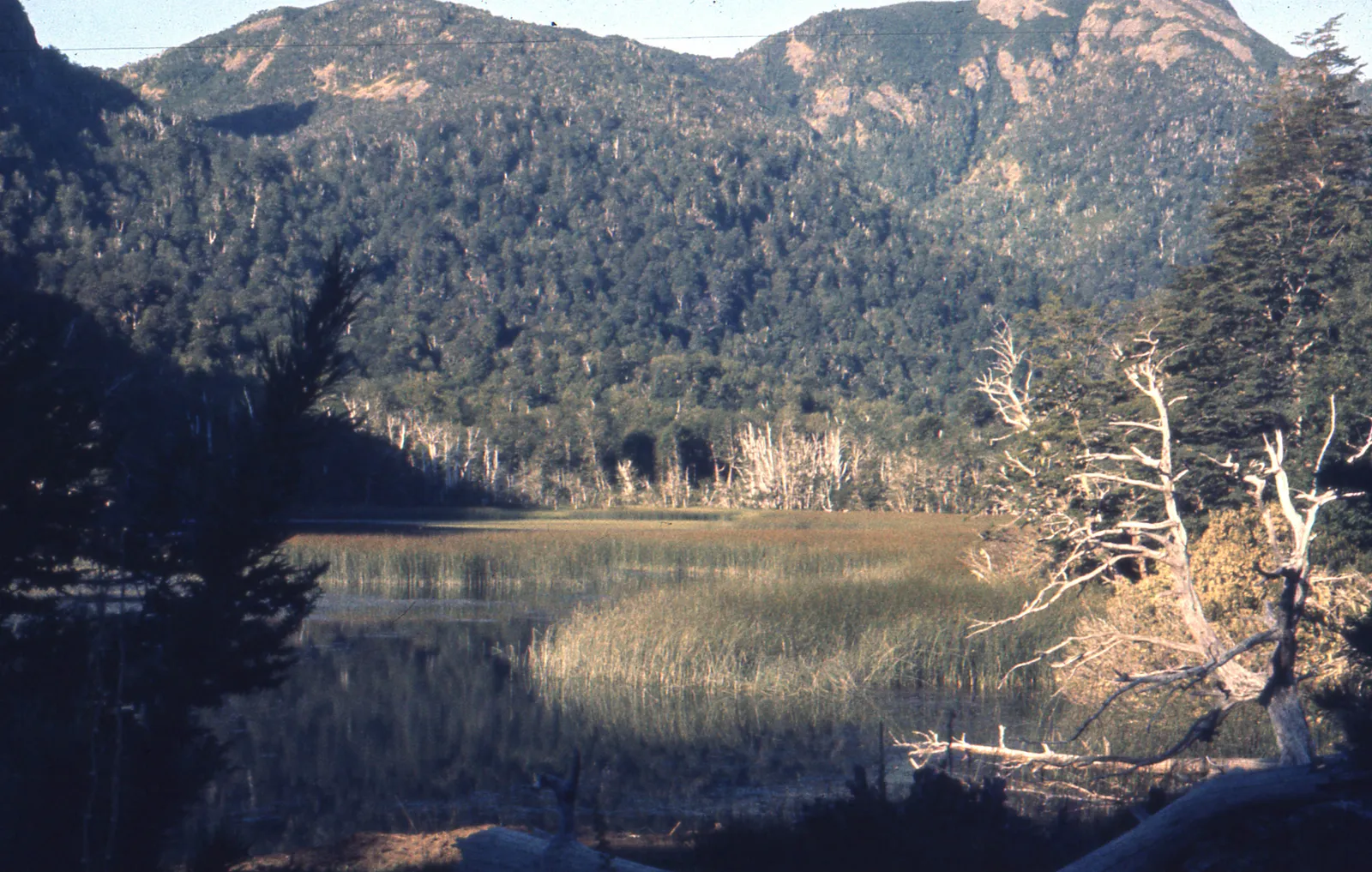 Sur de Chile en 1990