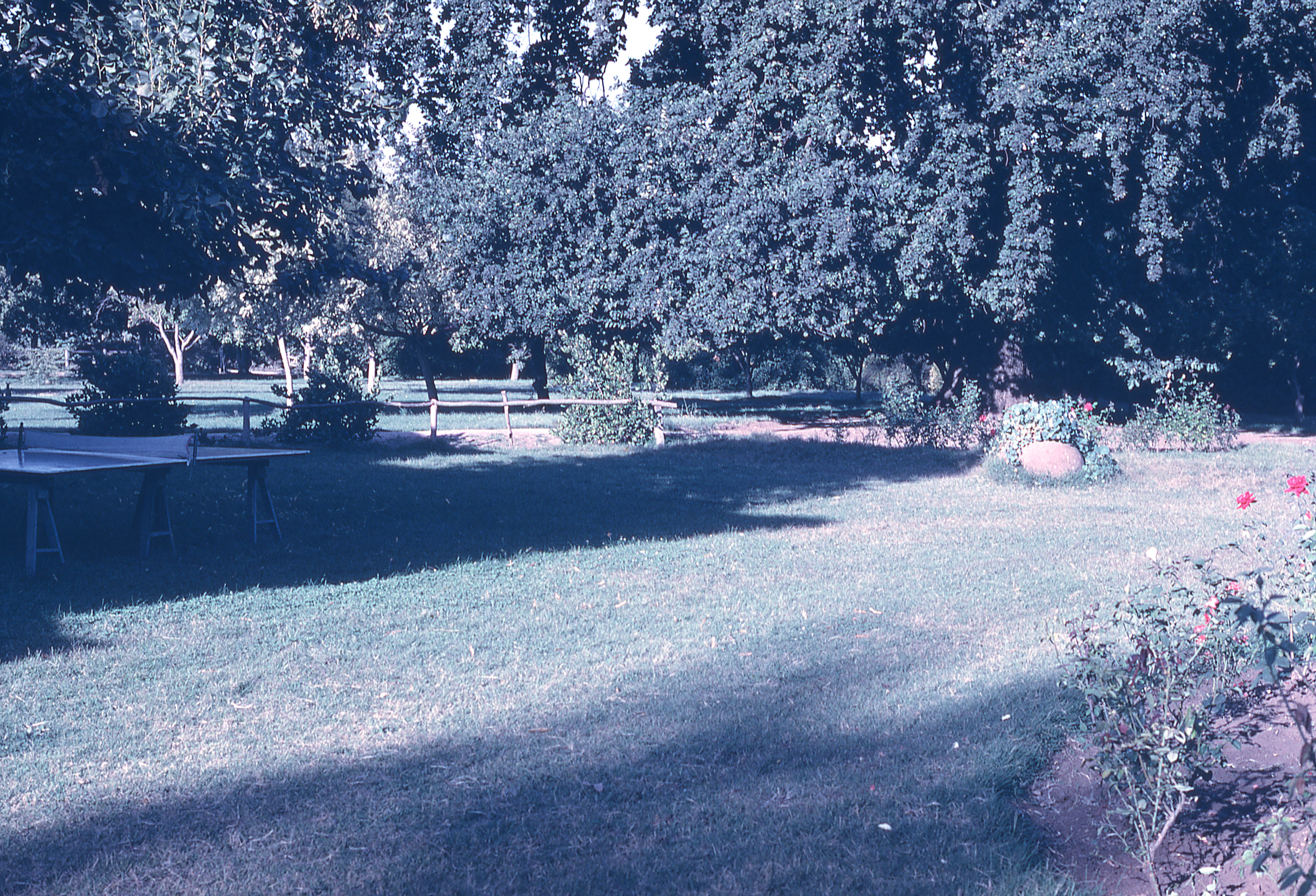 Jardín de campo en 1965