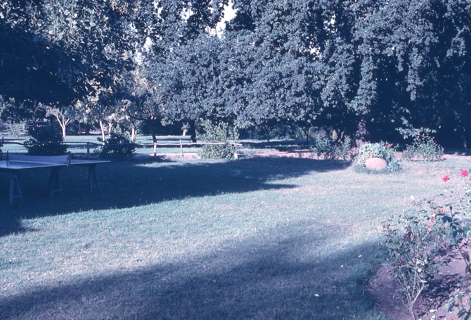 Jardín de campo en 1965