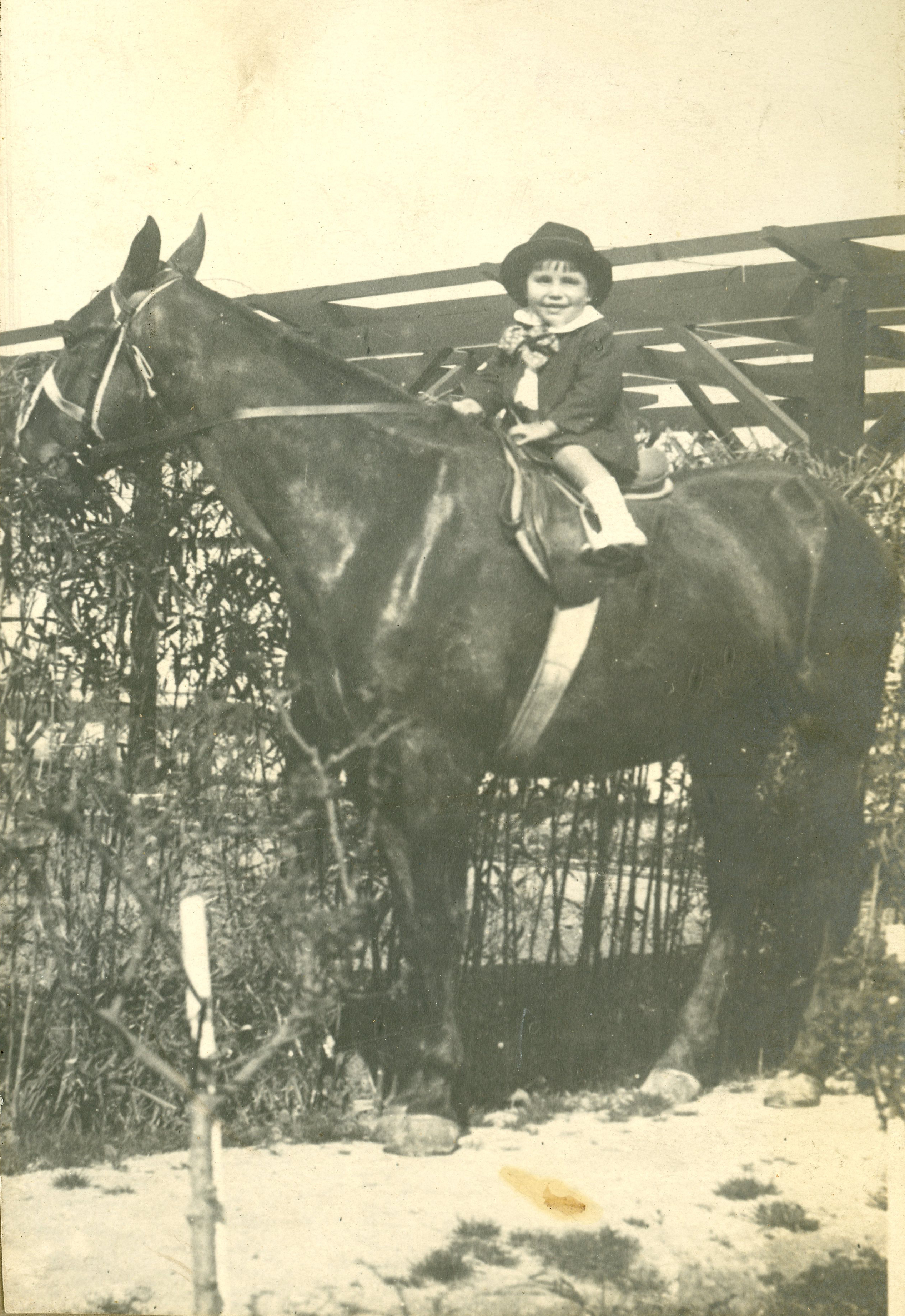 Niño a caballo en Providencia, Miguel Claro 584, año 1919
