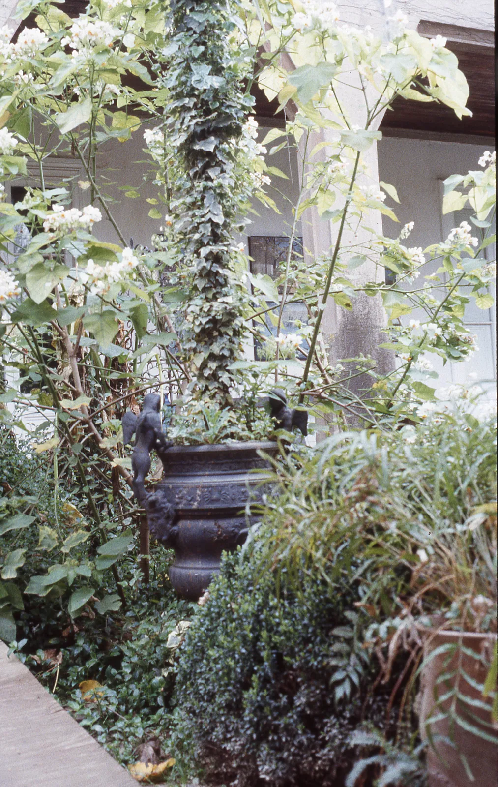 Hacienda Graneros en Graneros, 1983
