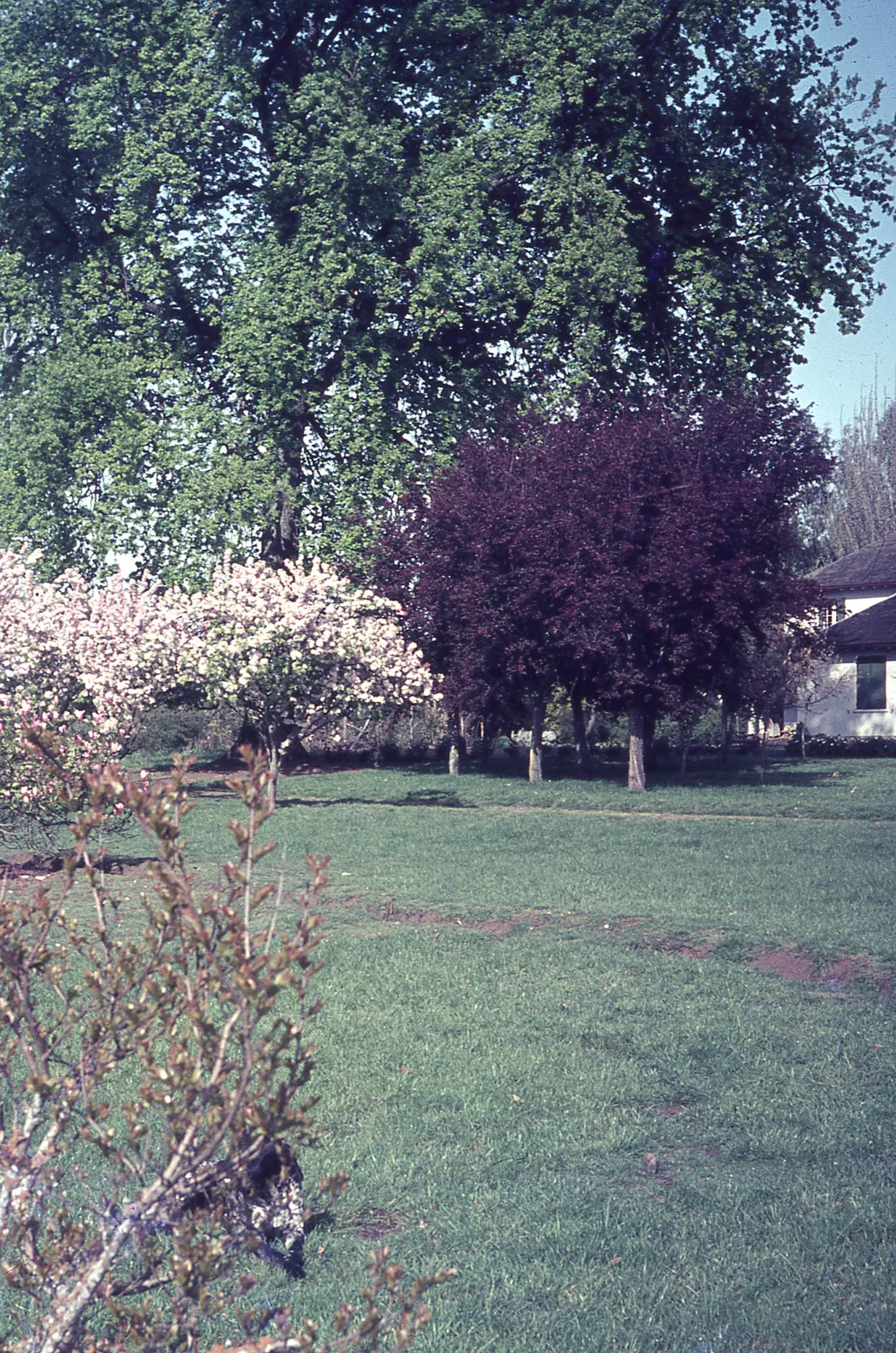 Jardín de casona en 1965