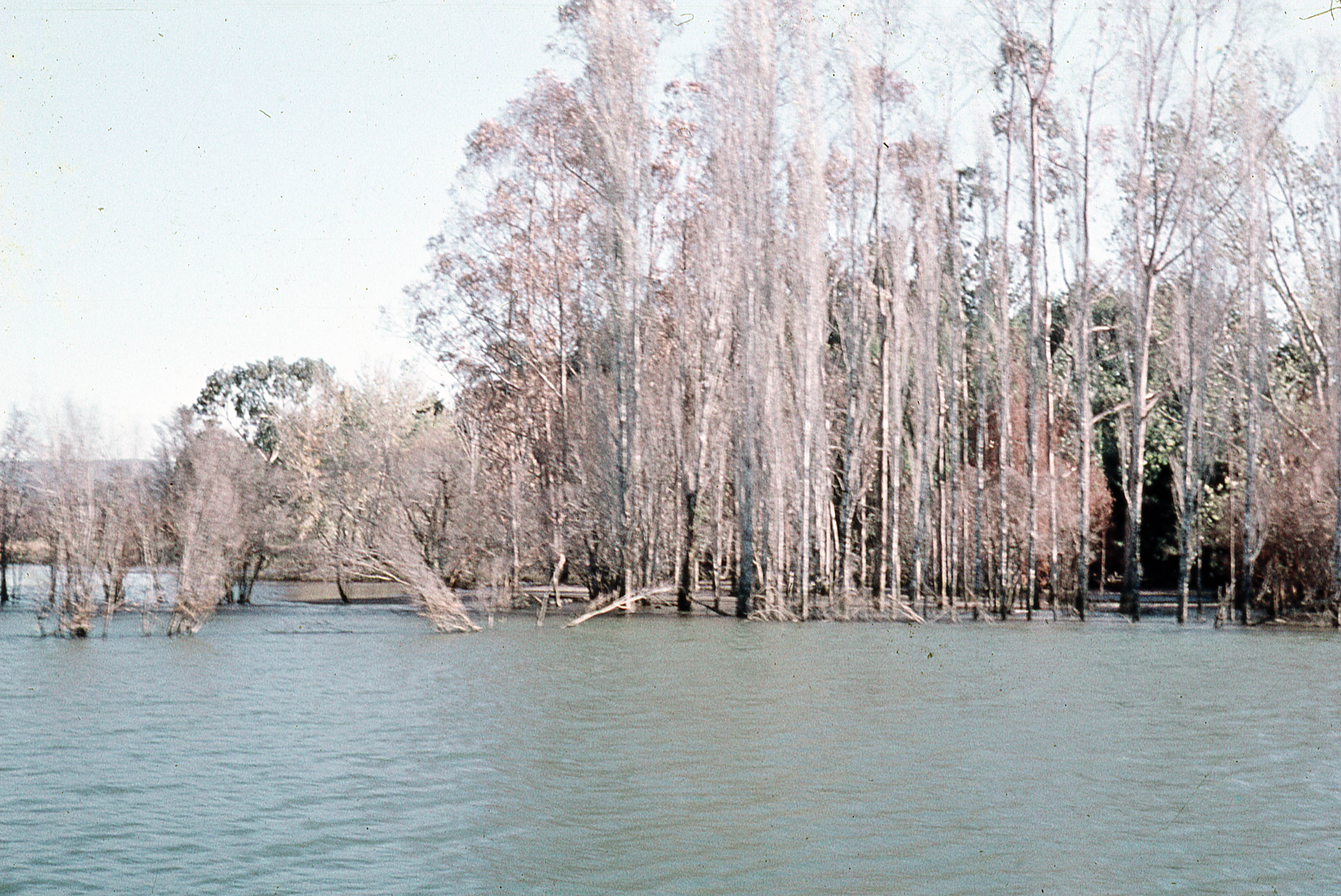 Inundaciones posterior al Terremoto de 1960