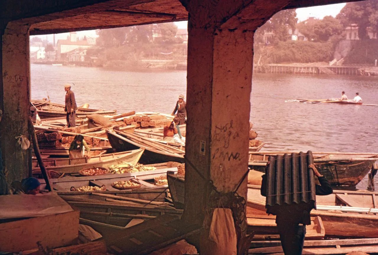 Botes de agricultores en Mercado fluvial de Valdivia, Chile, ca.1950